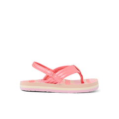 Little Ahi