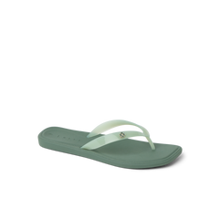 Solaye