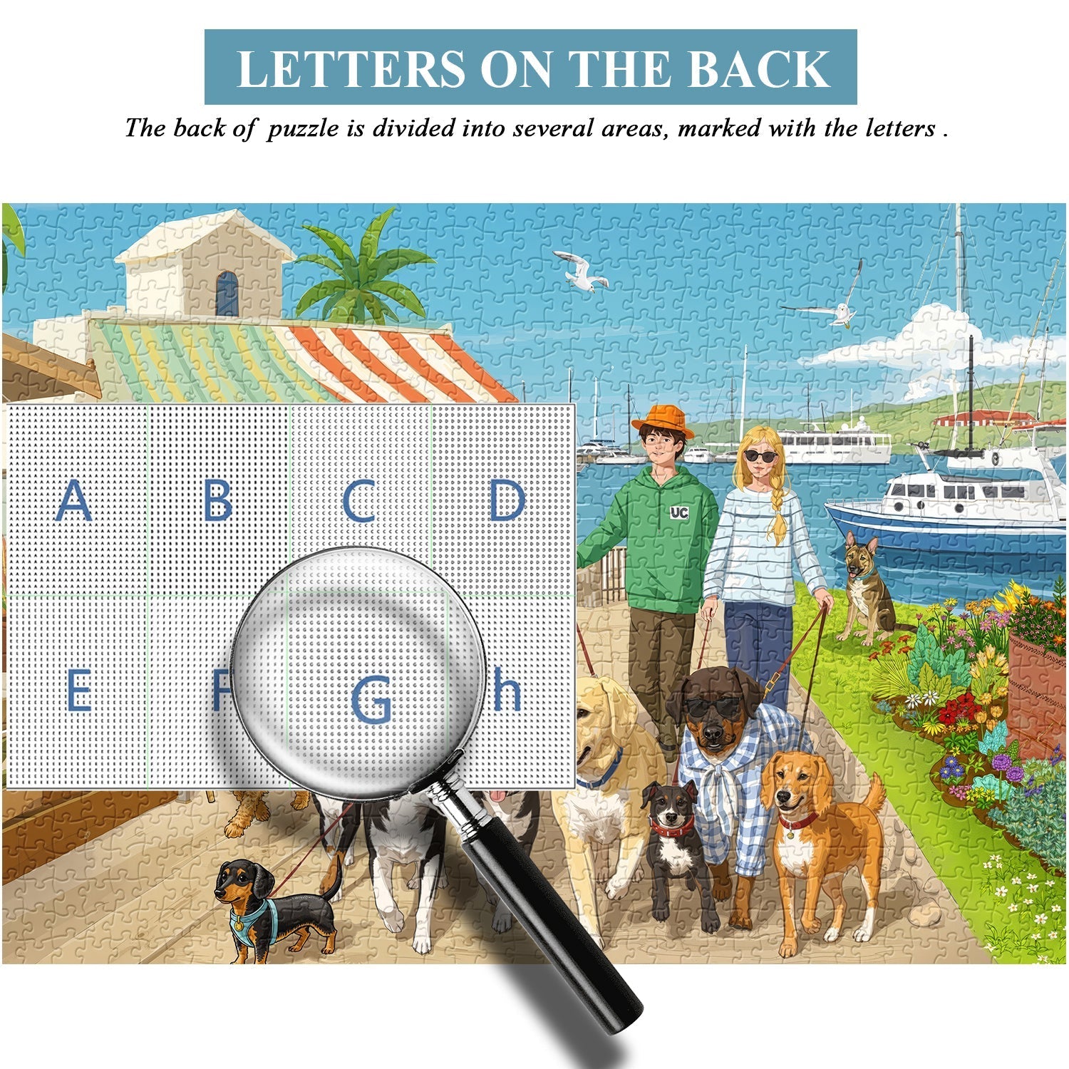 A Coastal Walk Jigsaw Puzzle 1000 Pieces