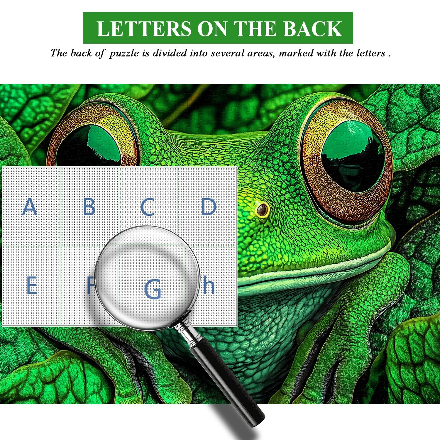 Frog Guardian Jigsaw Puzzles 1000 Pieces