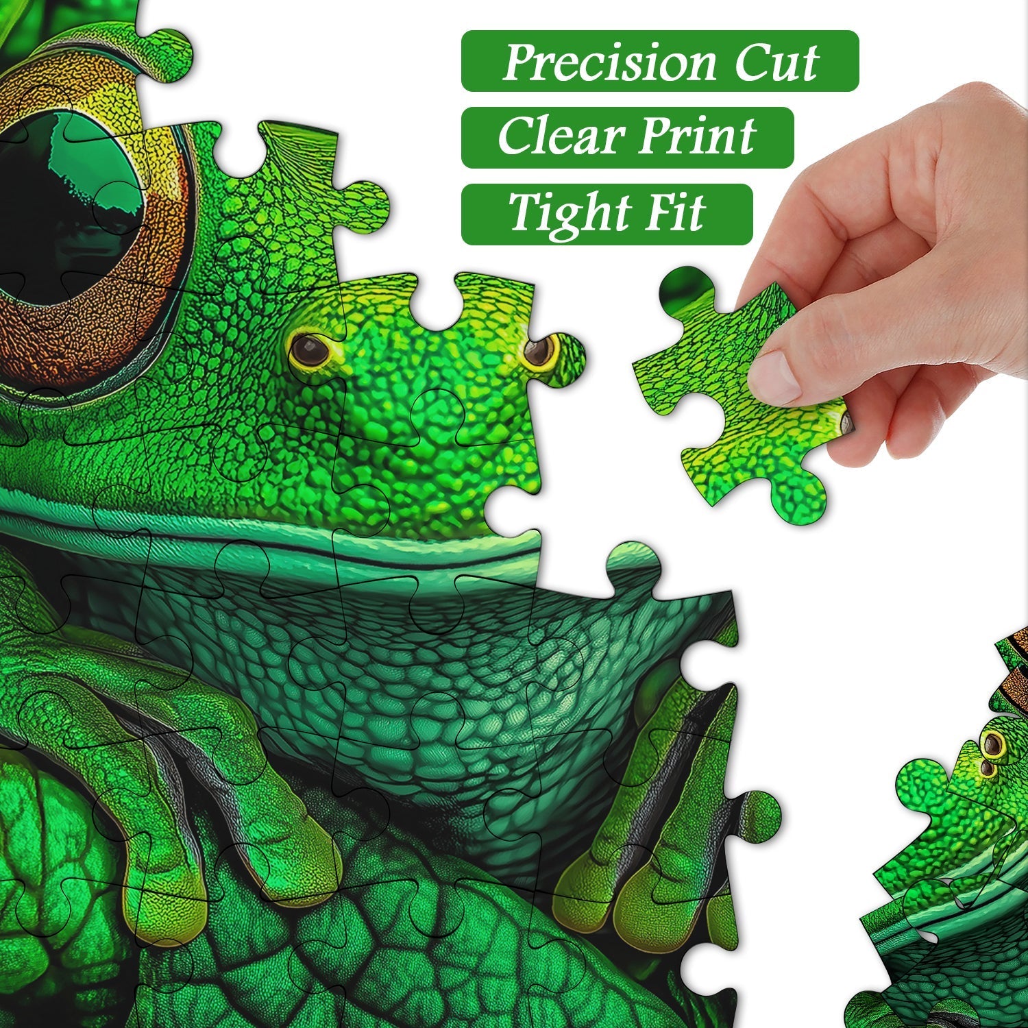 Frog Guardian Jigsaw Puzzles 1000 Pieces