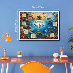 Sea Turtle Life Journey Jigsaw Puzzle 1000 Pieces