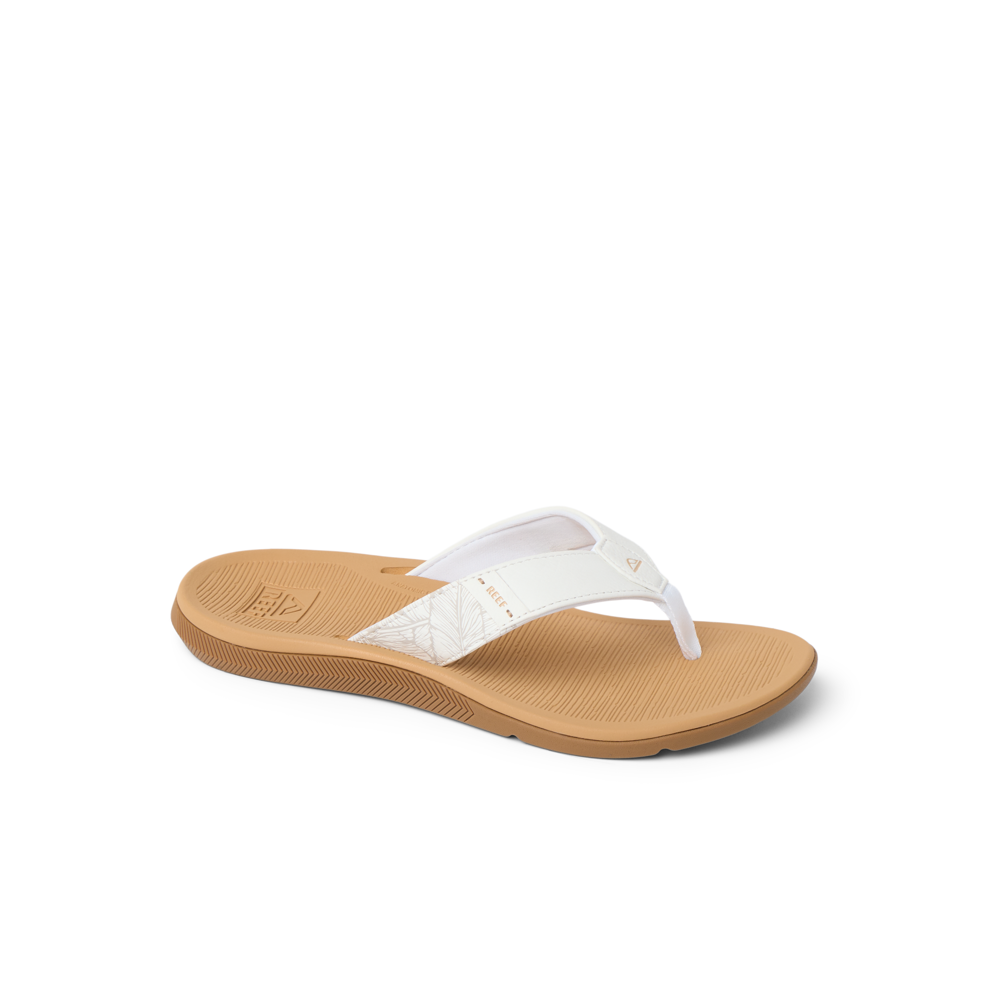 Santa Ana