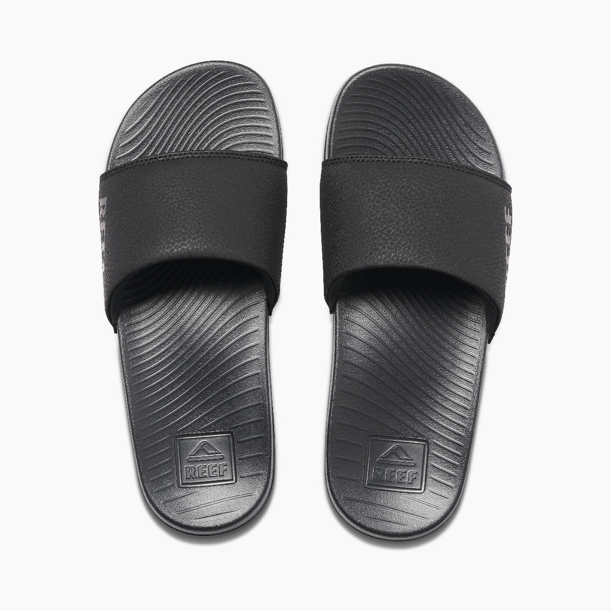 Reef One Slide